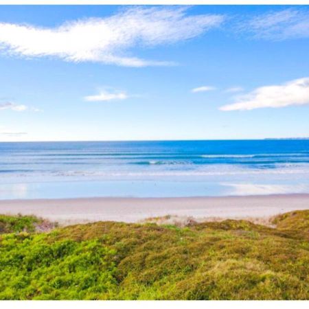 Cabbage Tree - Summer Or Winter Beachfront Haven Papamoa Eksteriør billede