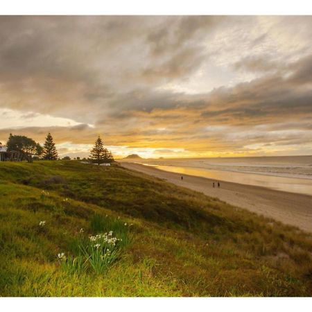 Cabbage Tree - Summer Or Winter Beachfront Haven Papamoa Eksteriør billede