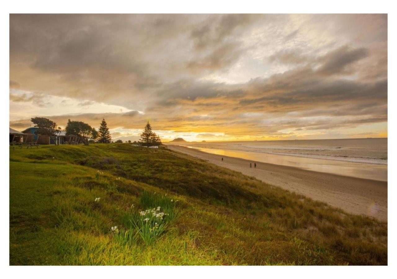 Cabbage Tree - Summer Or Winter Beachfront Haven Papamoa Eksteriør billede
